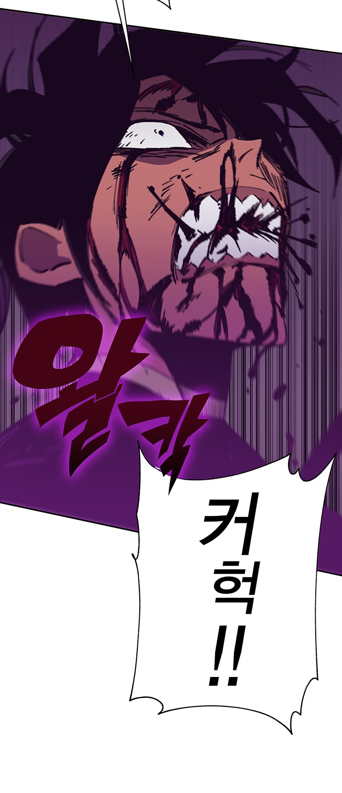 110 페이지