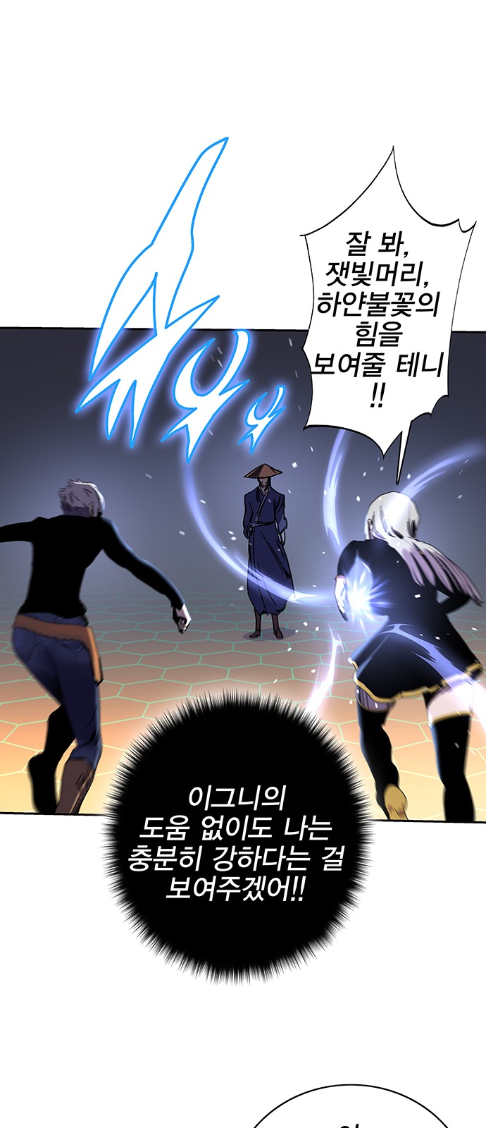 65 페이지