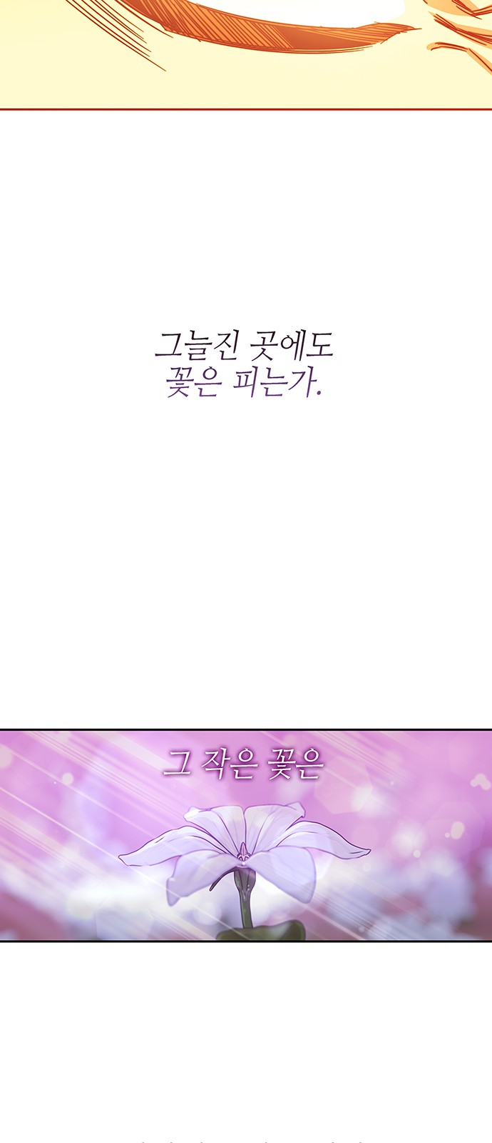 137 페이지