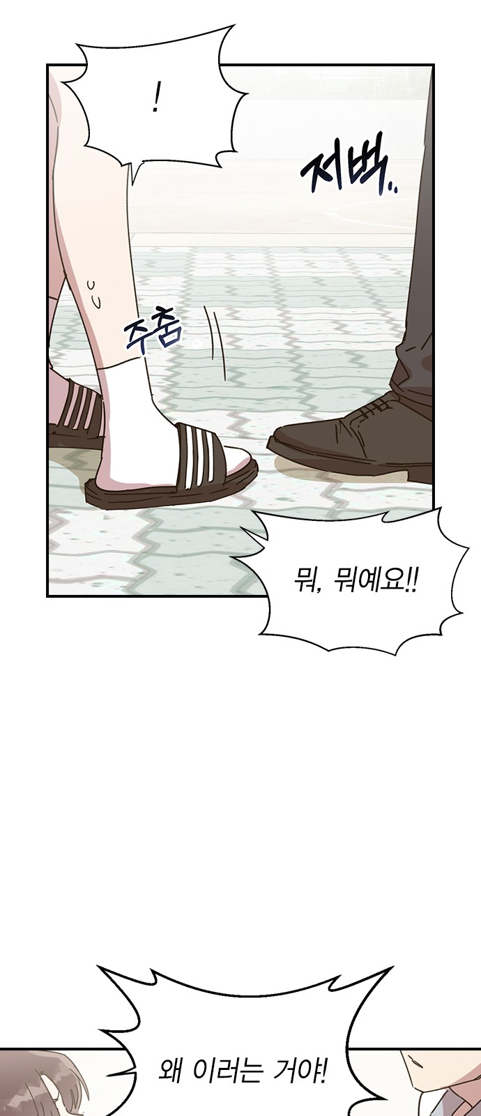63 페이지