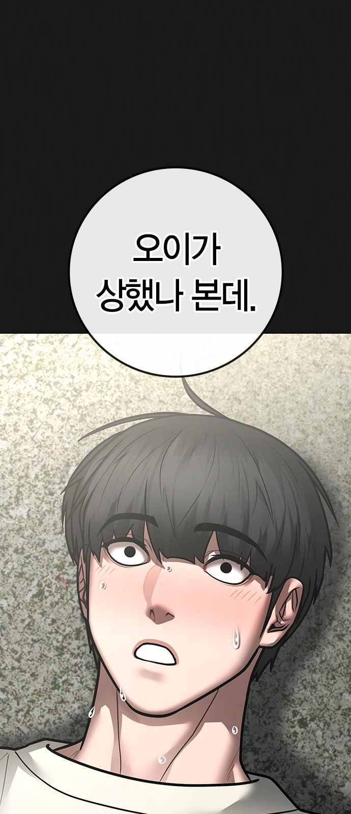 31 페이지
