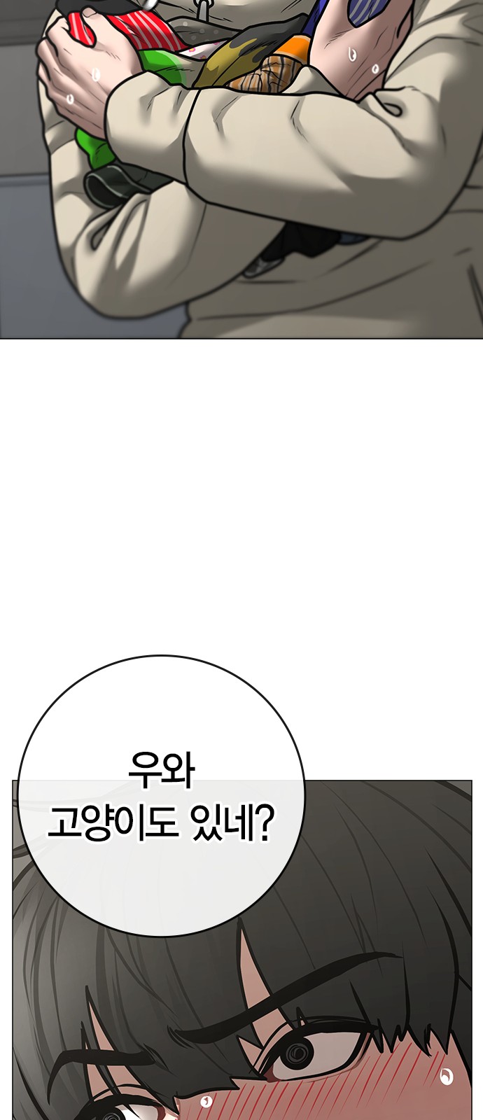 51 페이지