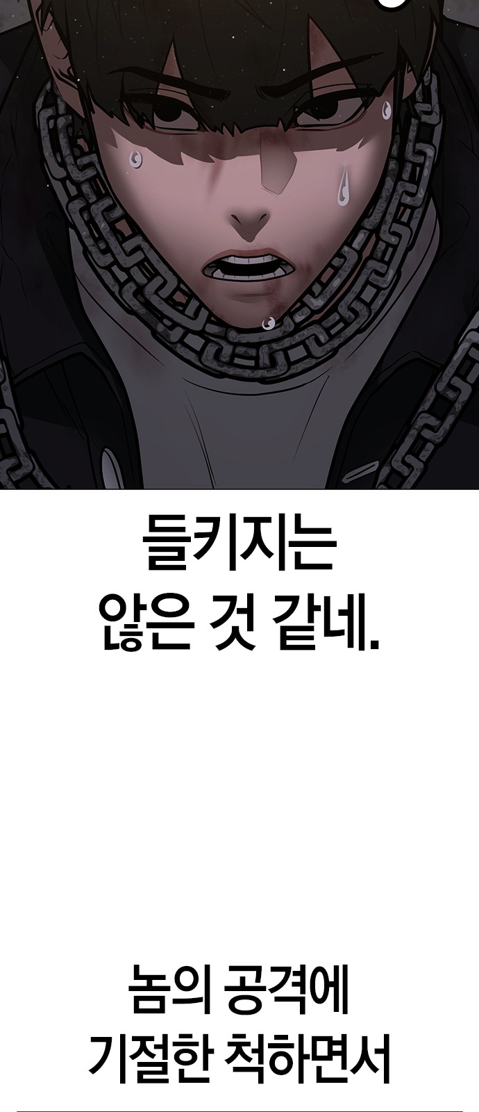 81 페이지