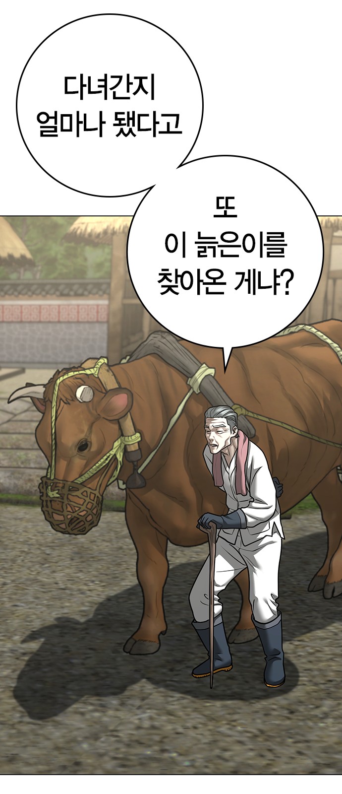 66 페이지