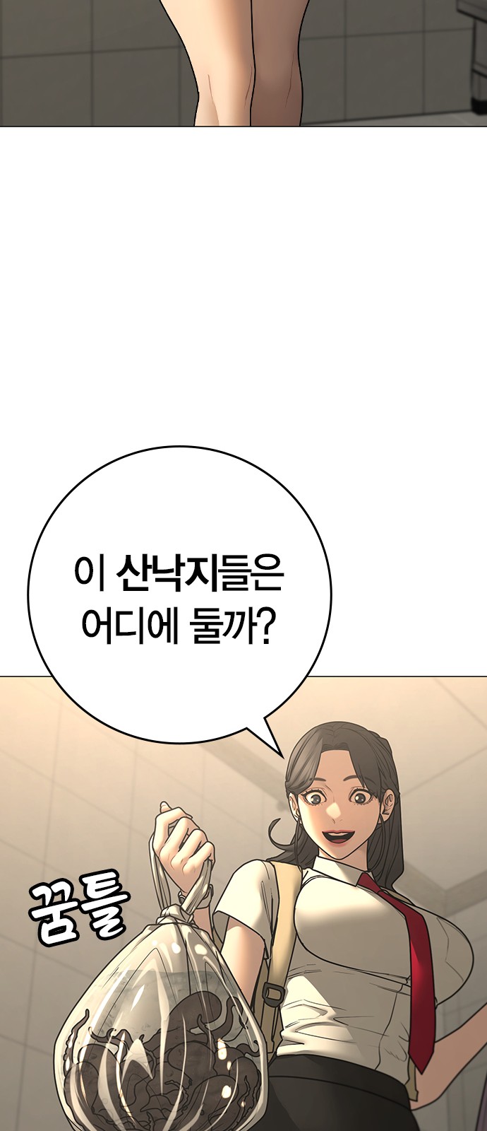 66 페이지