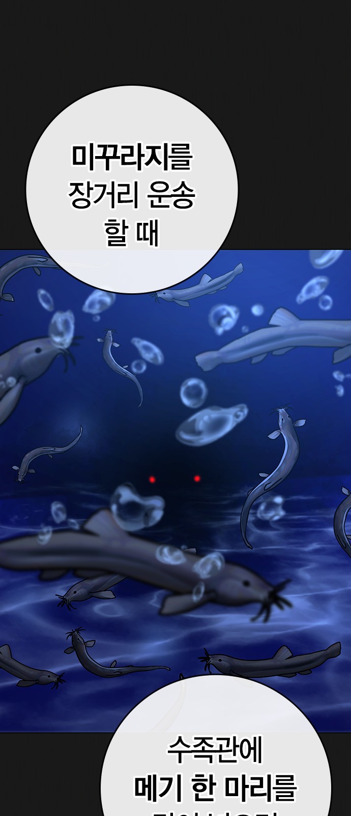 97 페이지