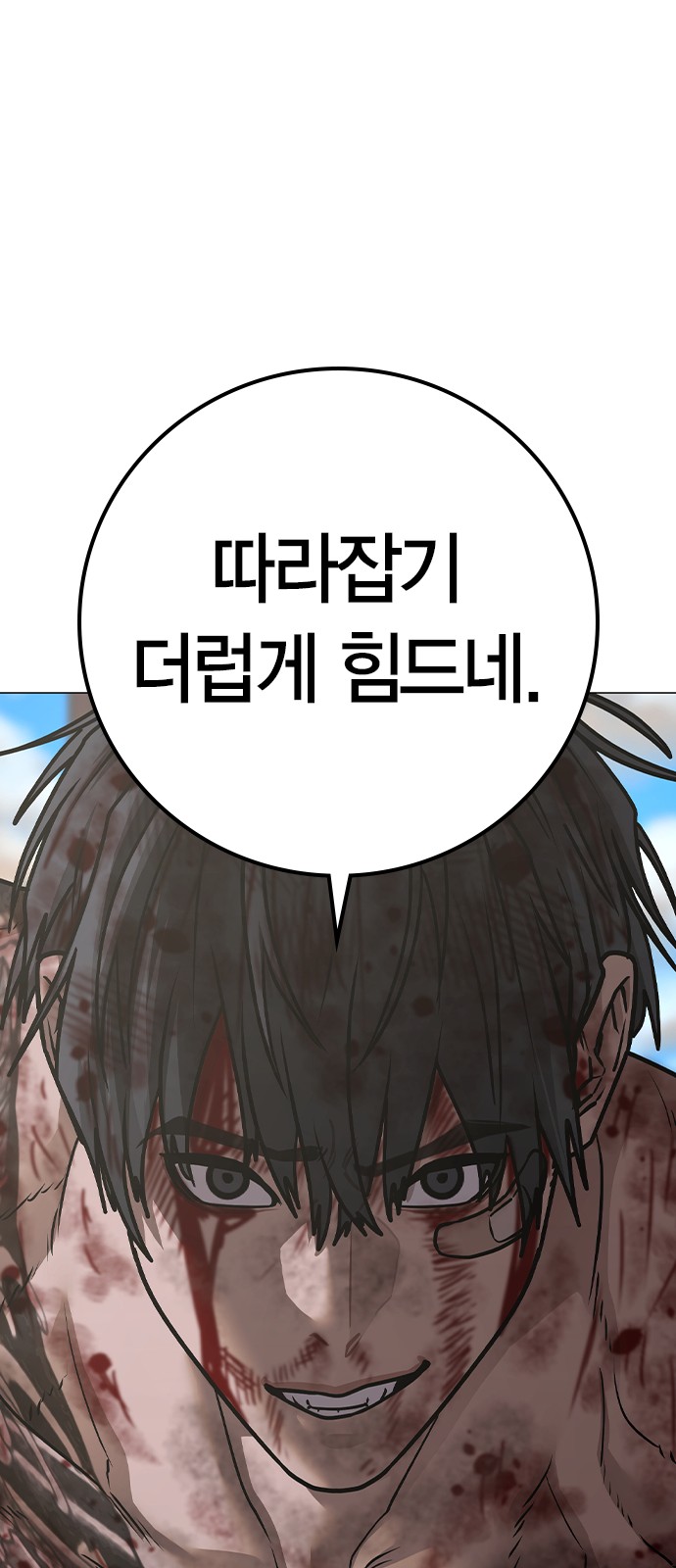 66 페이지