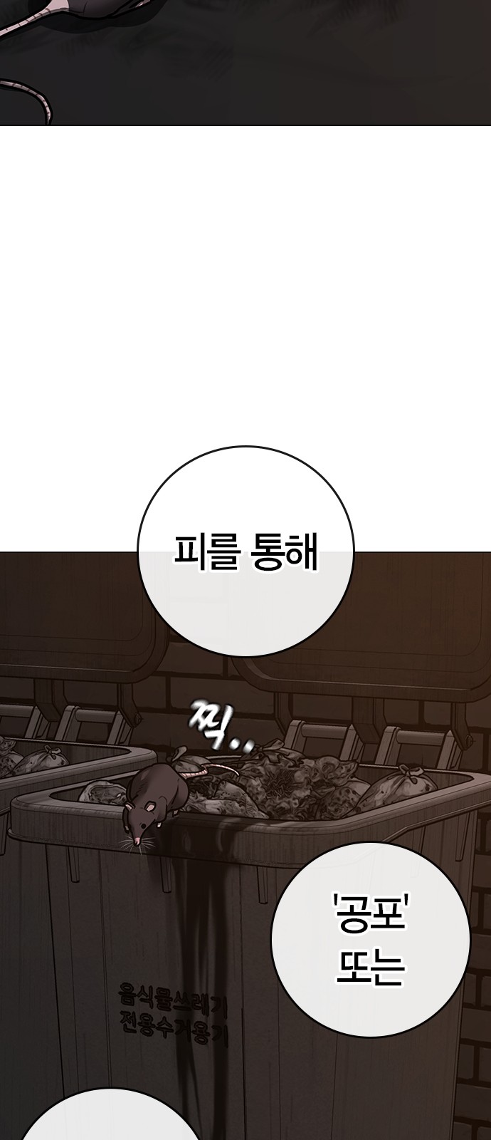 81 페이지