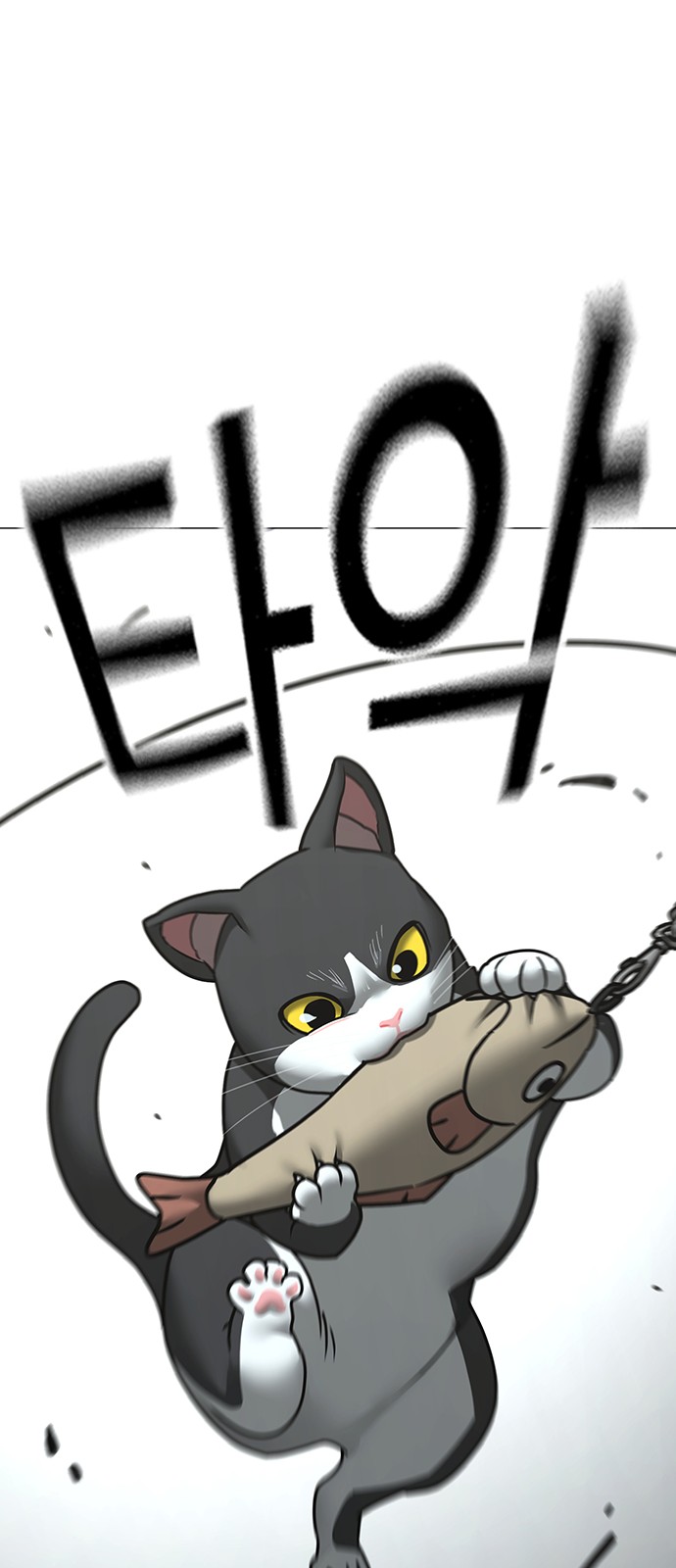 51 페이지