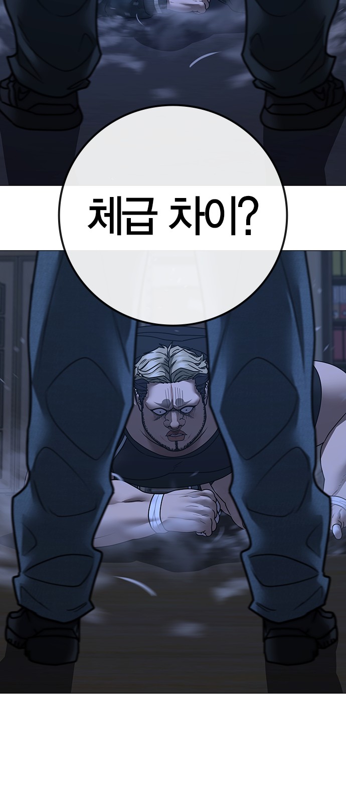 116 페이지
