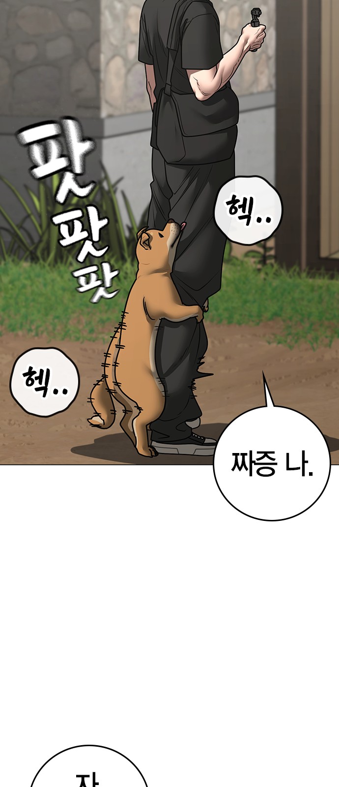 50 페이지