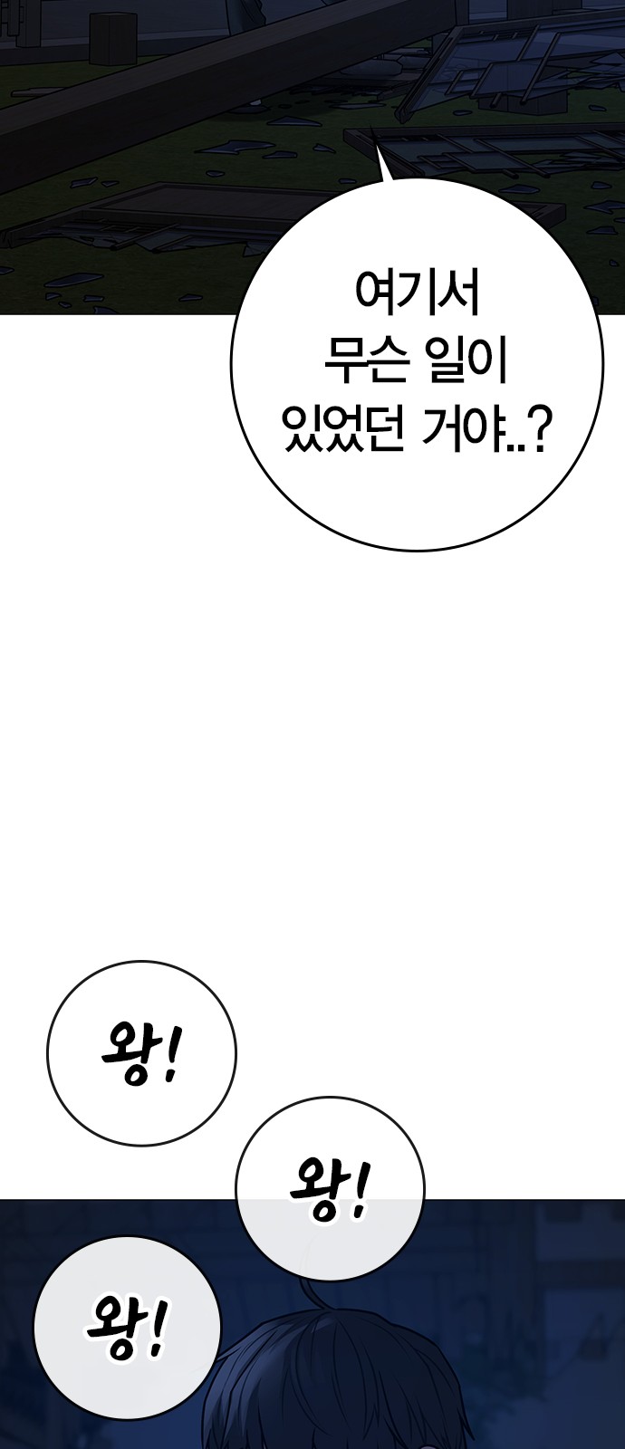 113 페이지
