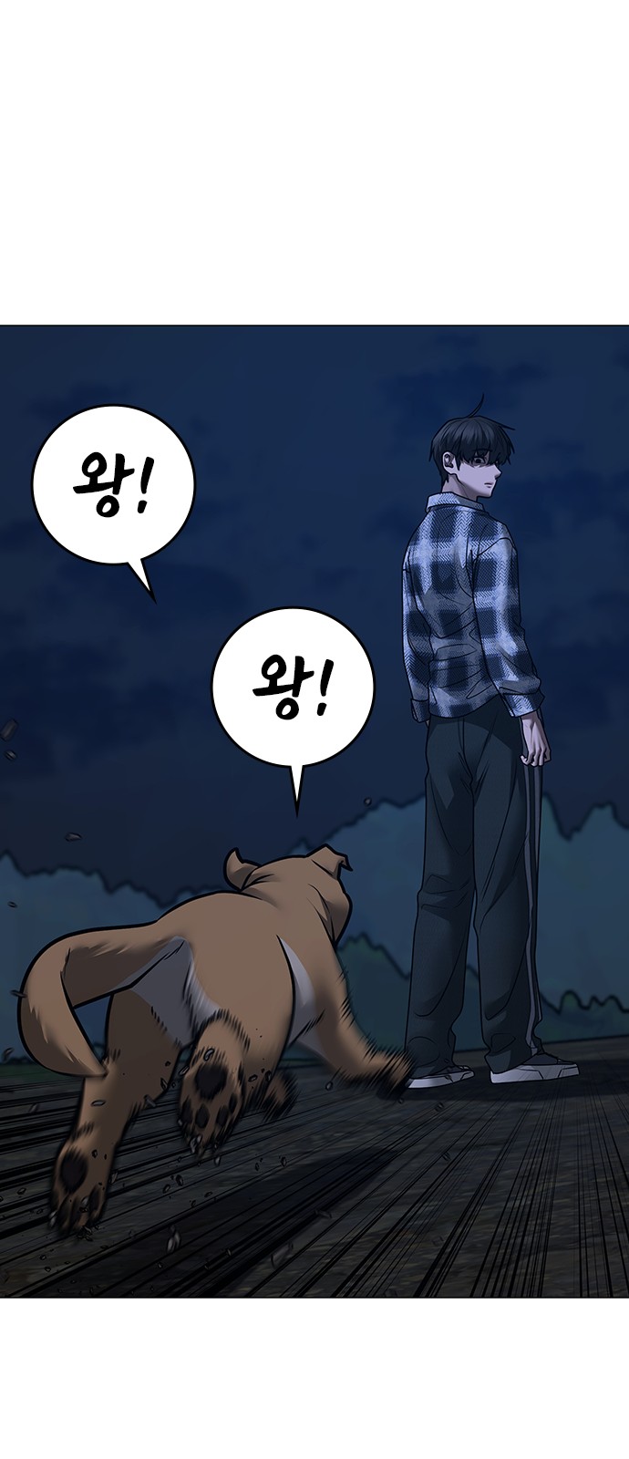 68 페이지
