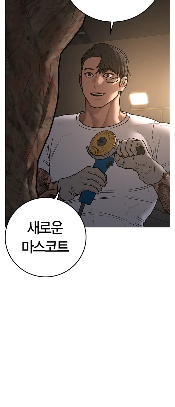 5 페이지