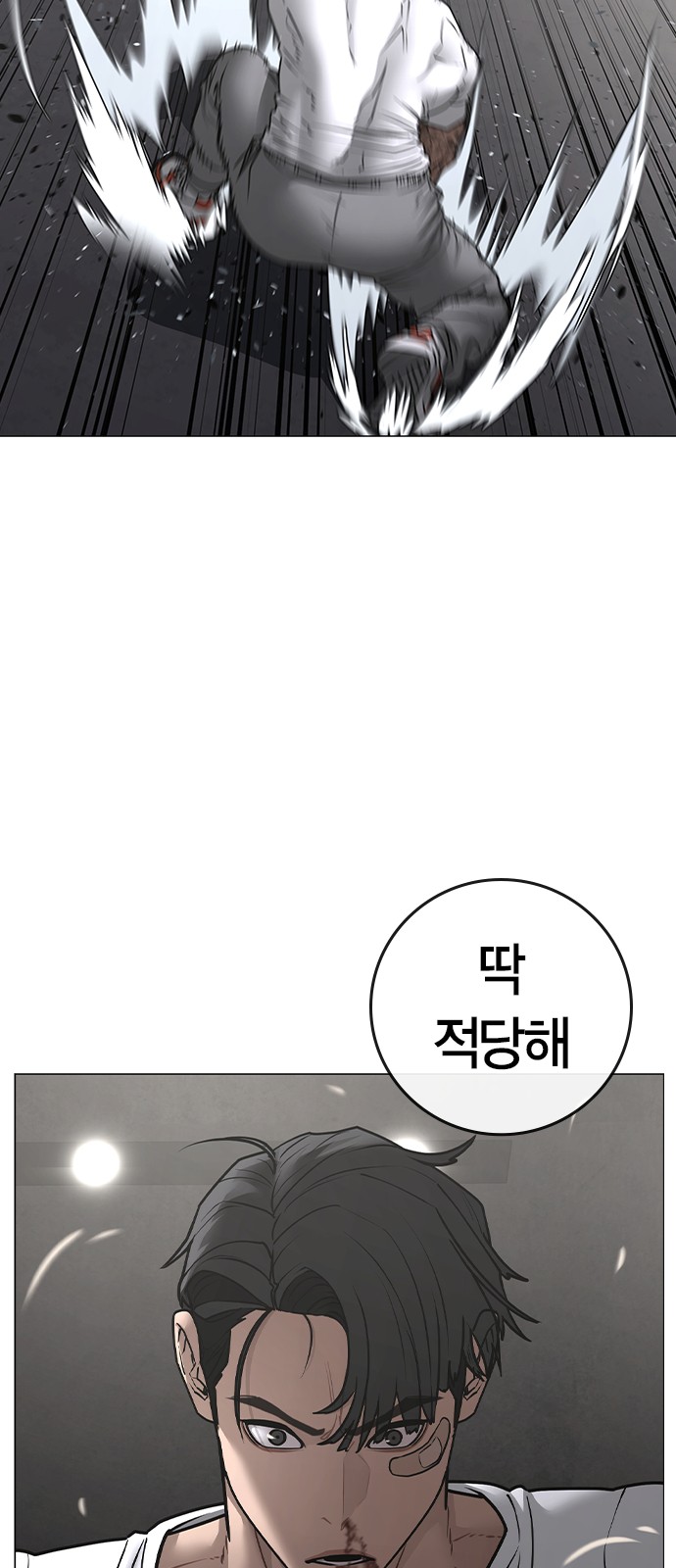 43 페이지