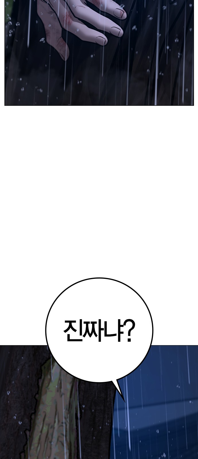 113 페이지