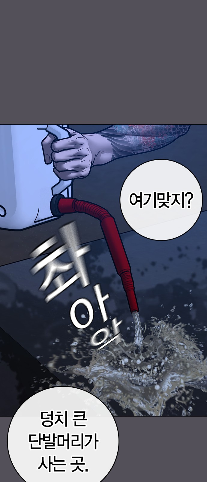 44 페이지