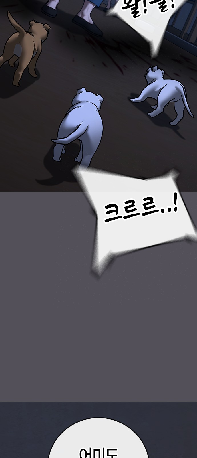 81 페이지