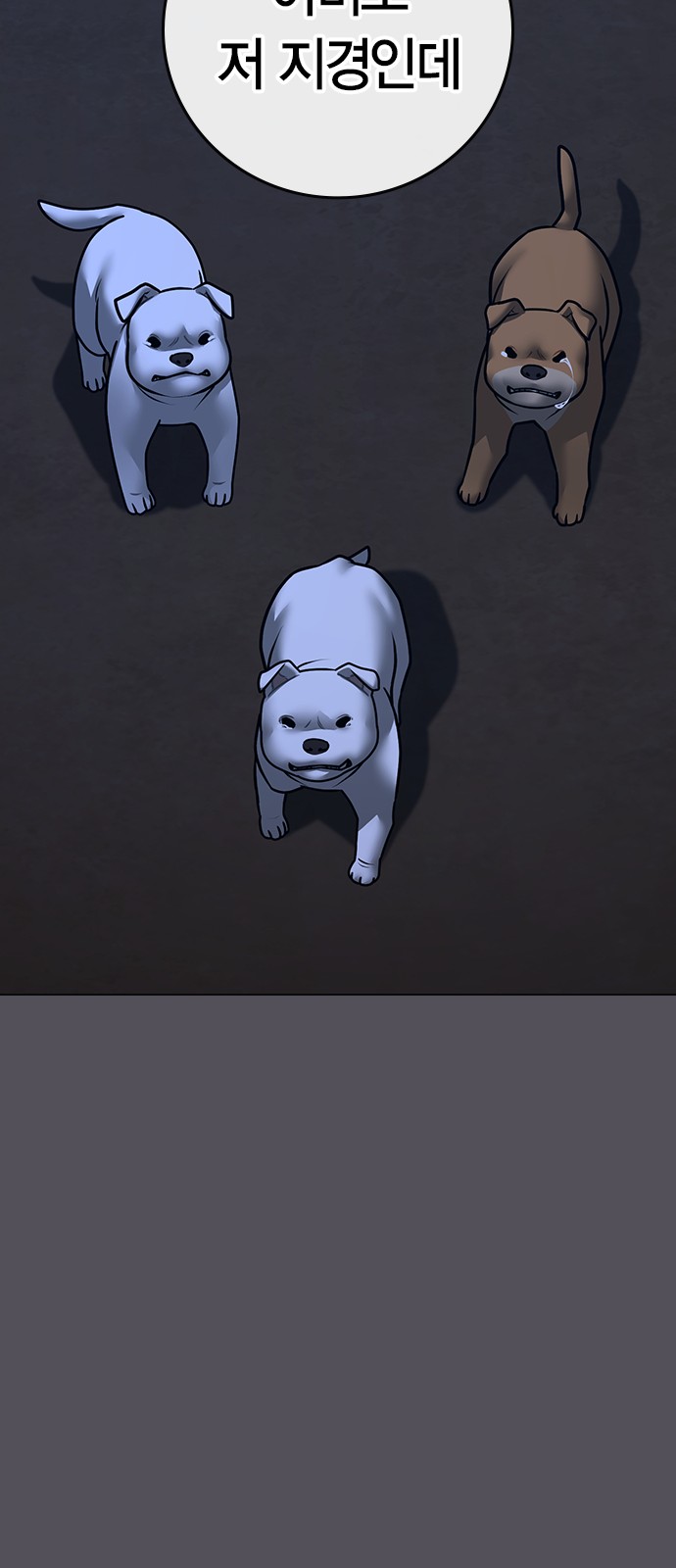 82 페이지