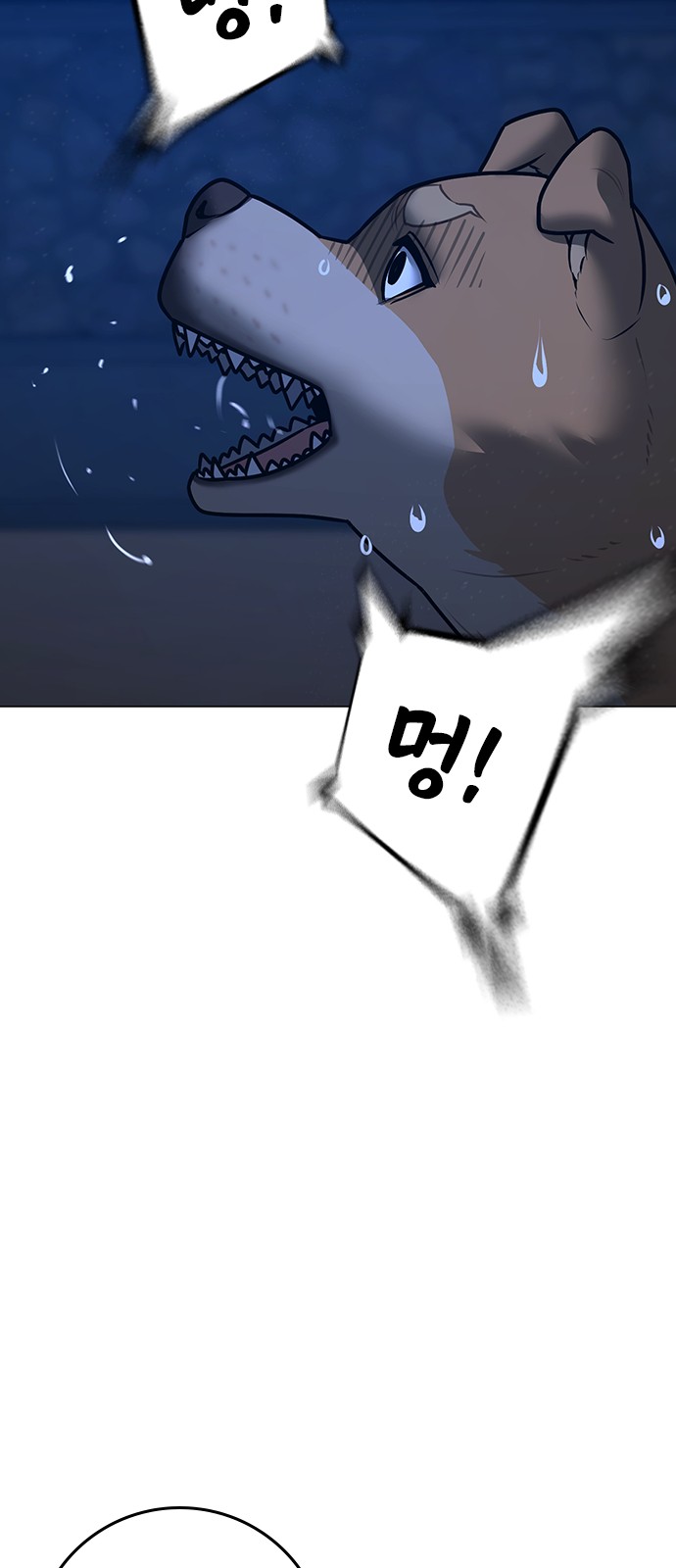 95 페이지