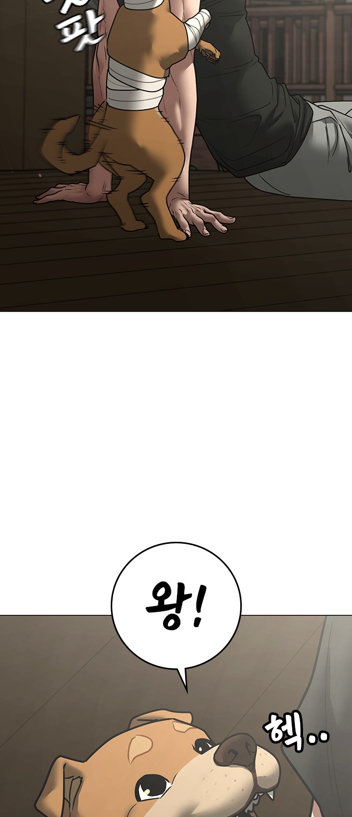 71 페이지