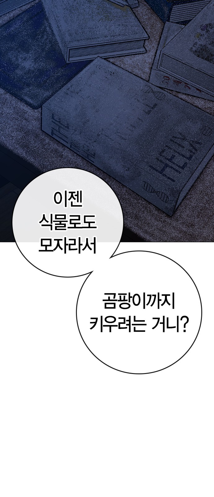 116 페이지
