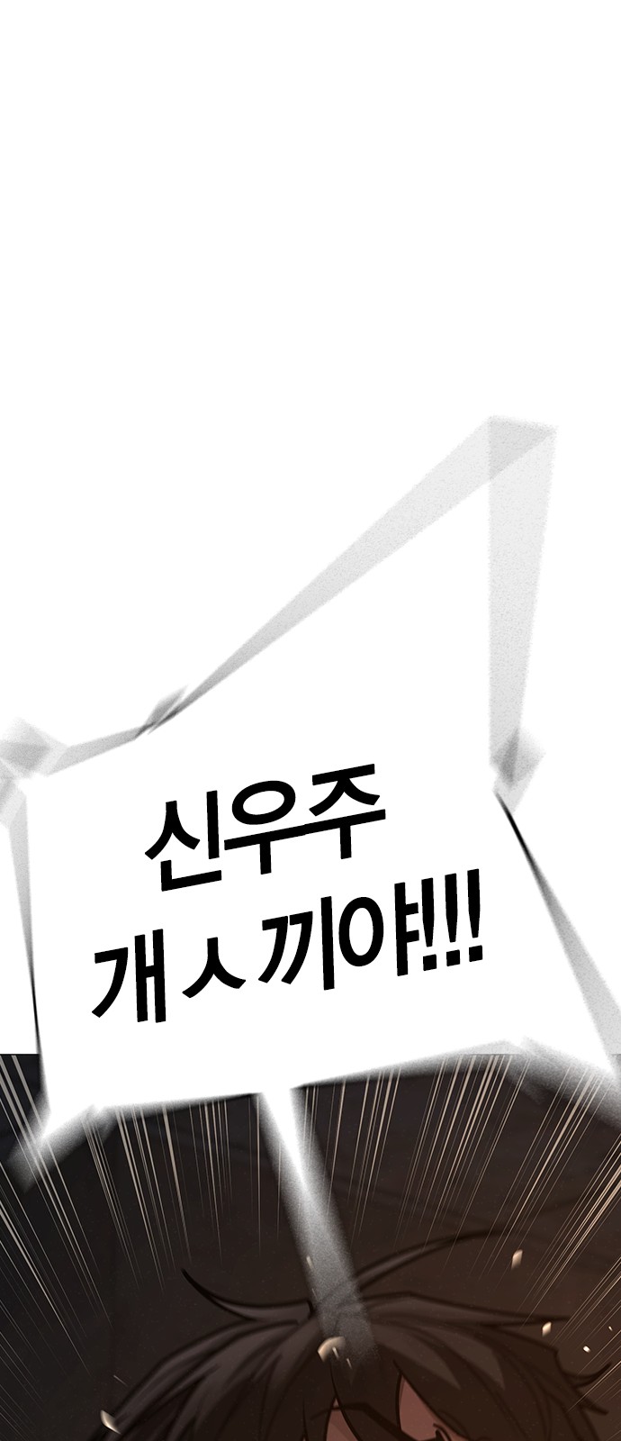 111 페이지