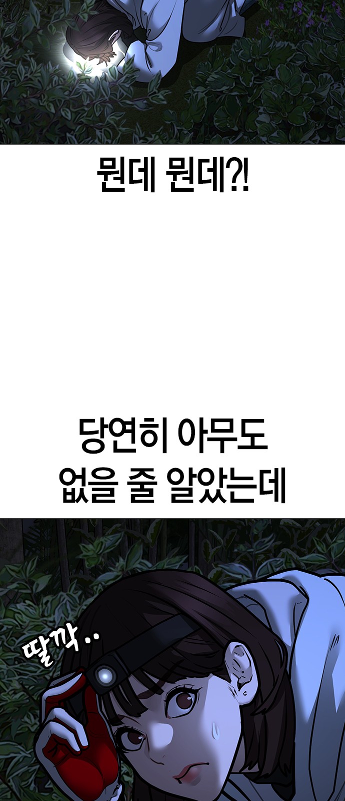 116 페이지