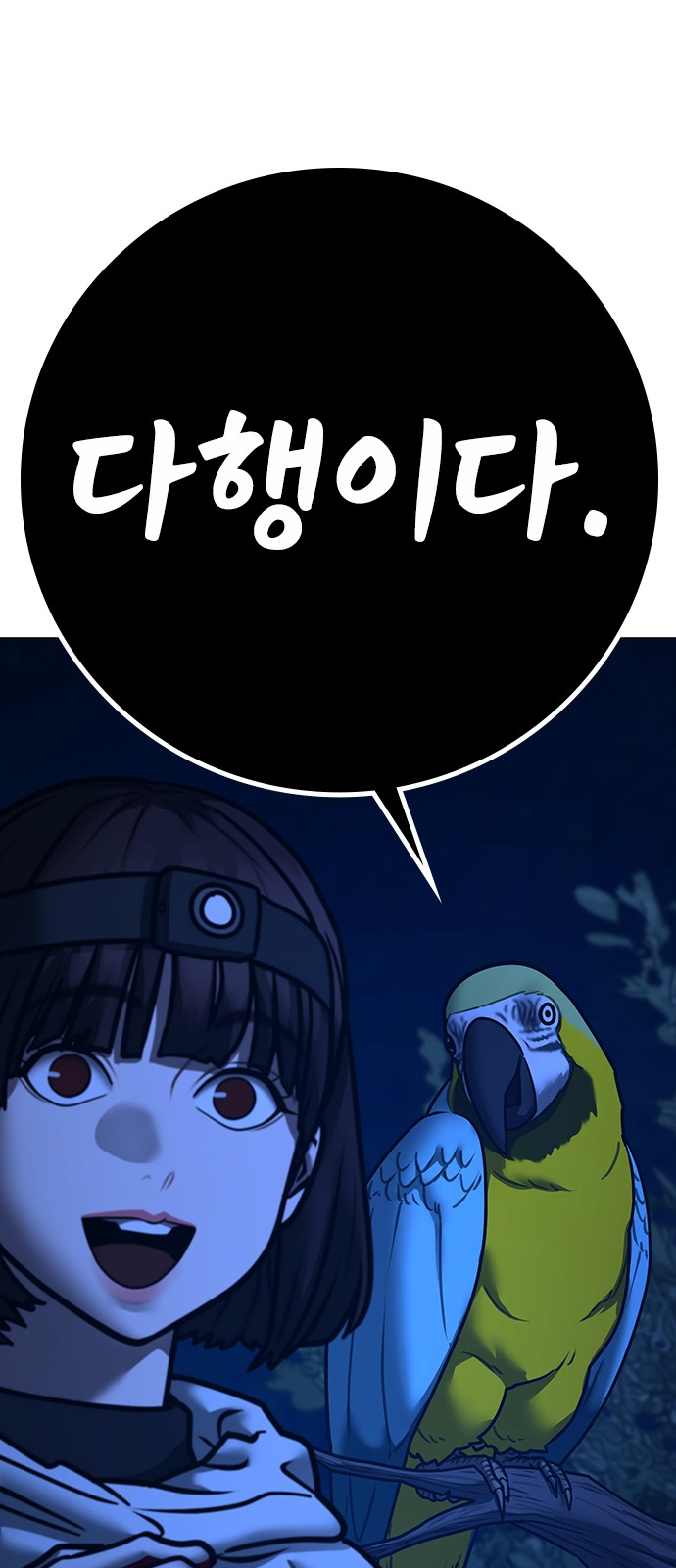 45 페이지