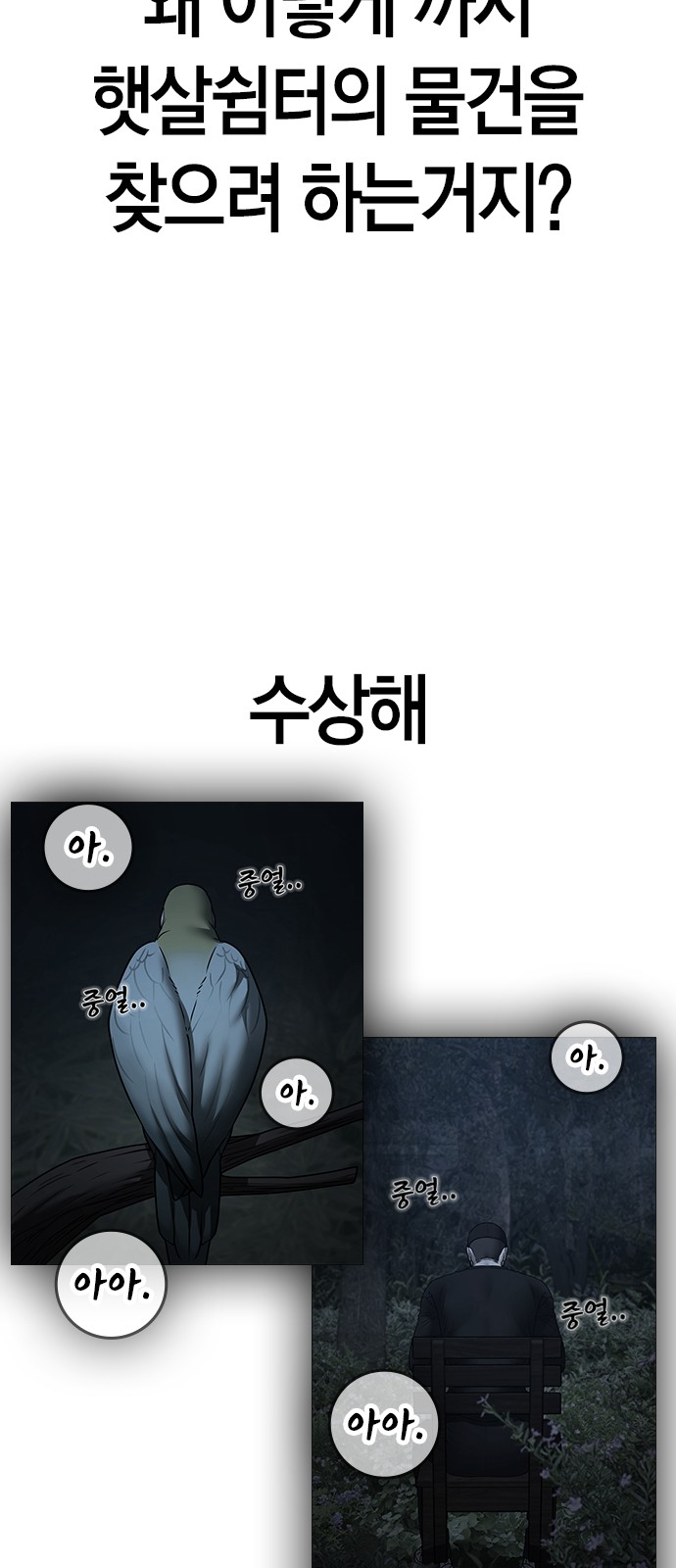116 페이지