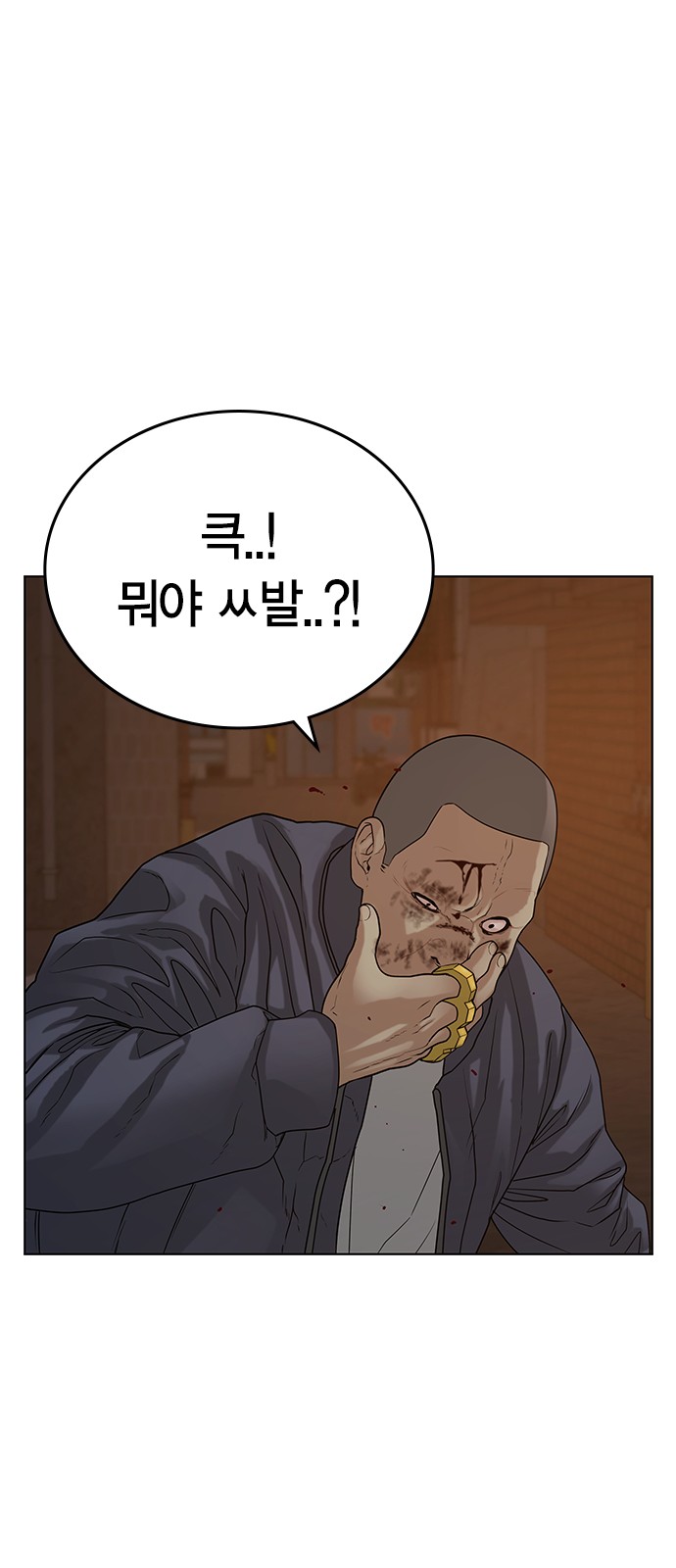 46 페이지