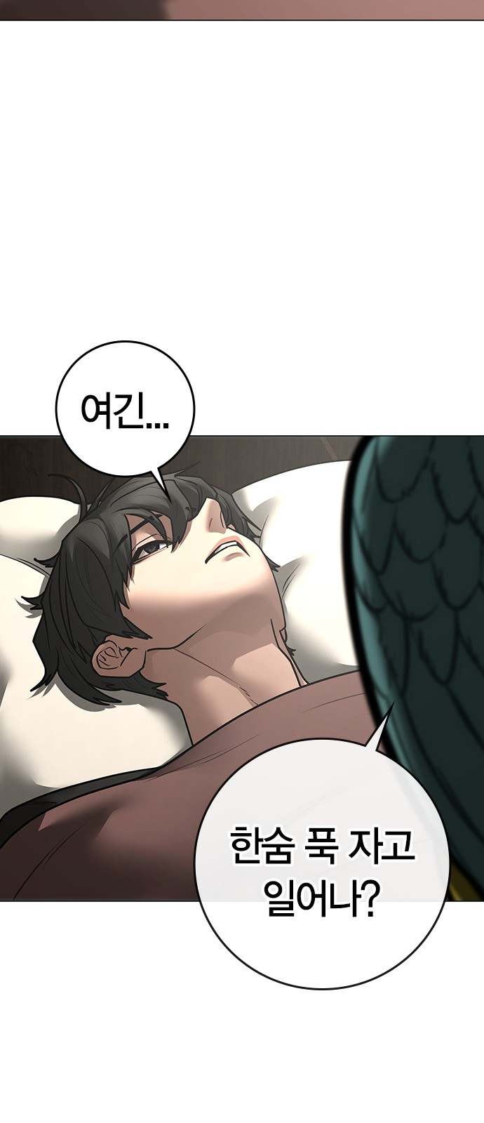 81 페이지