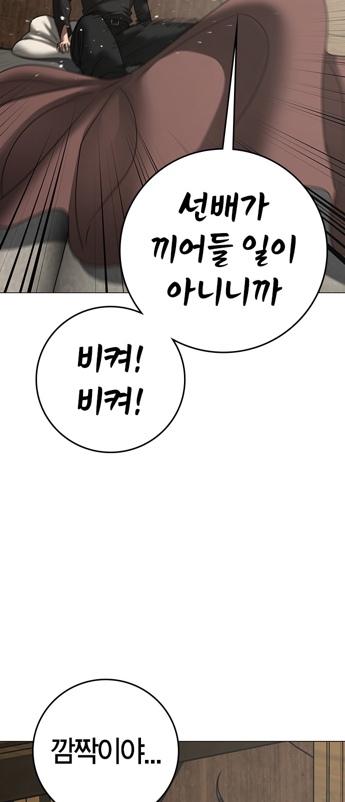 85 페이지