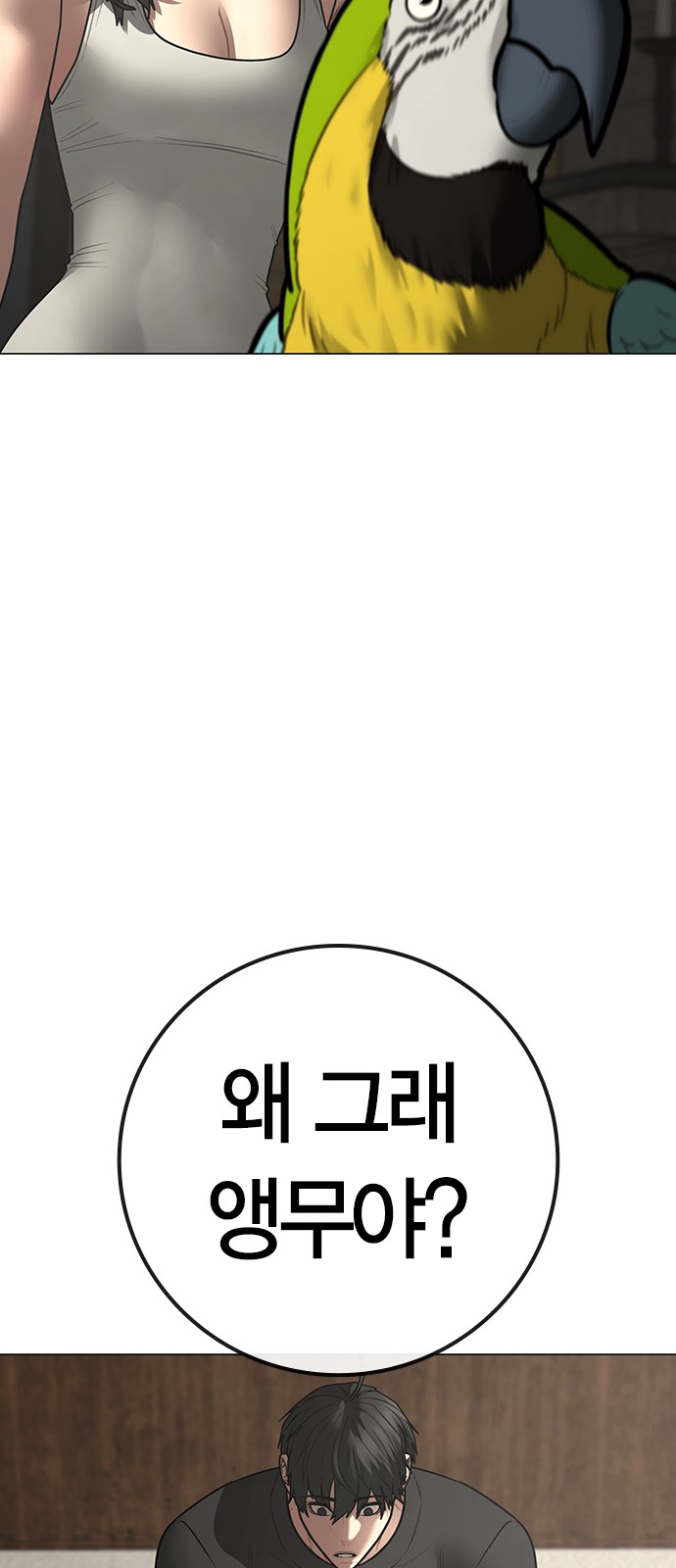 40 페이지