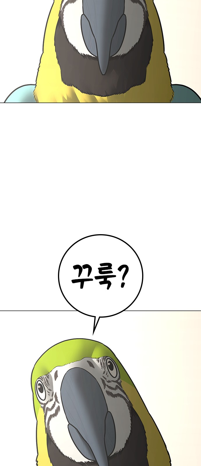 42 페이지