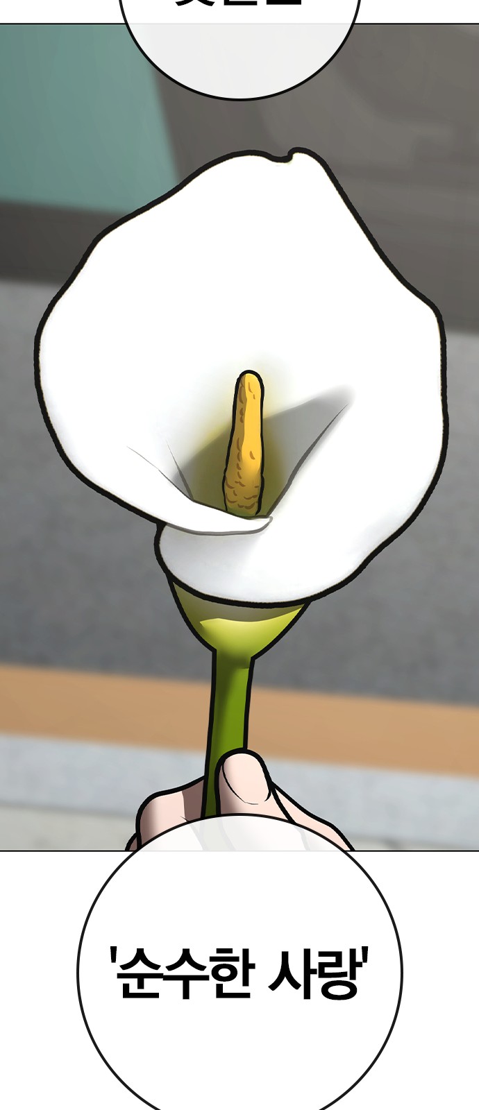 74 페이지