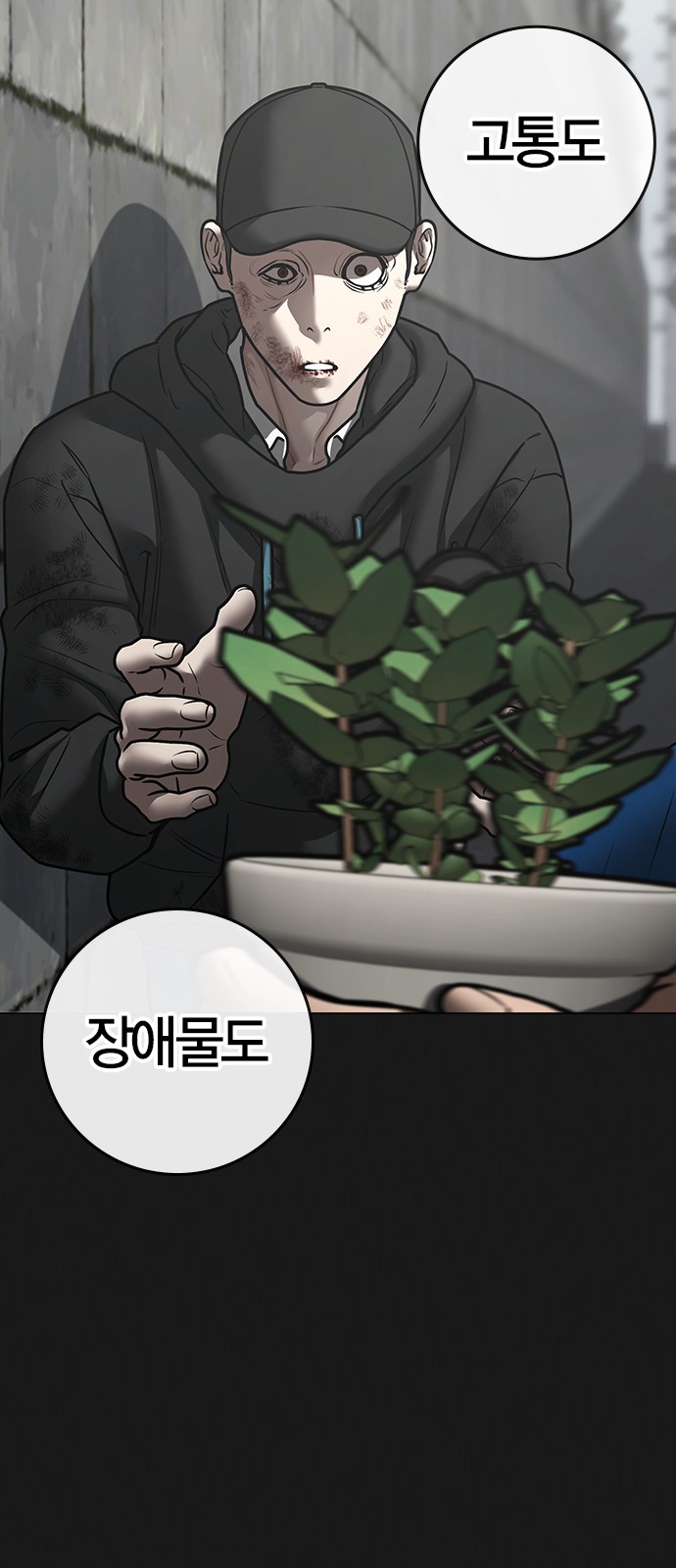 56 페이지