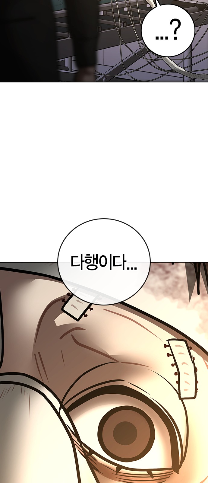 115 페이지