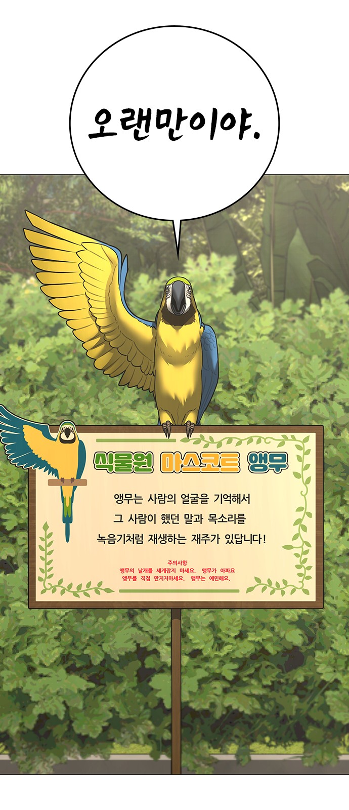 36 페이지