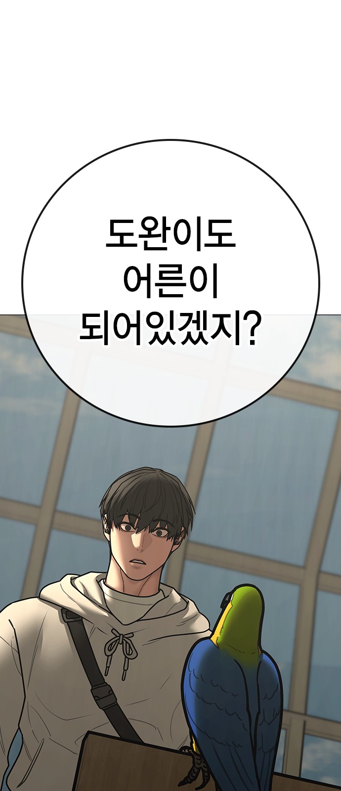 41 페이지