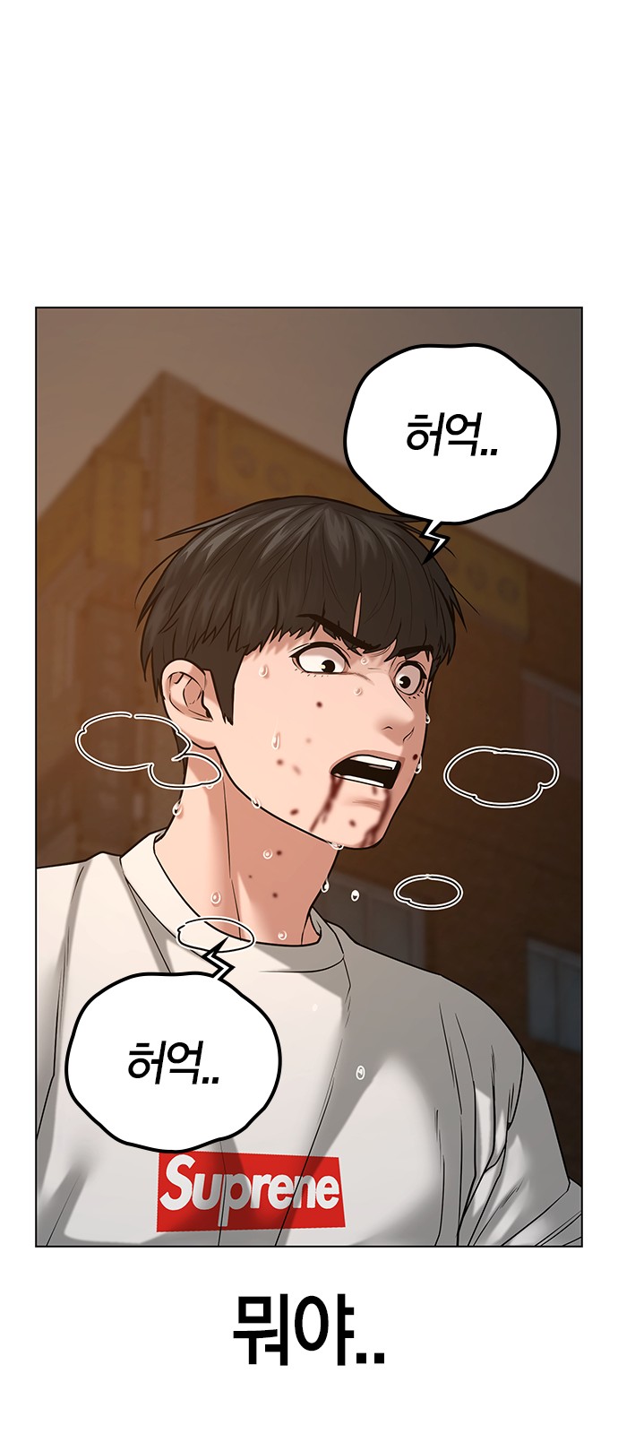 52 페이지