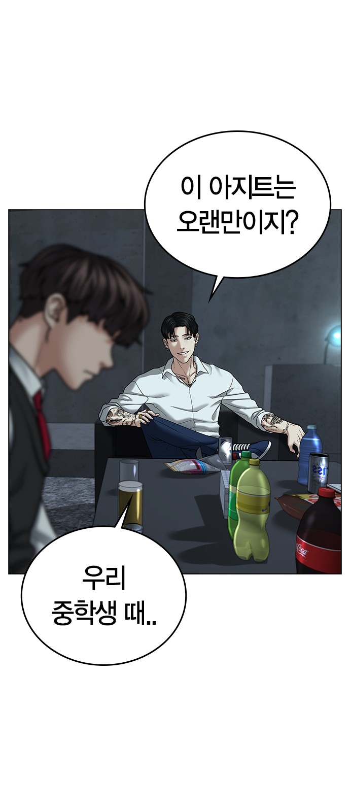 20 페이지