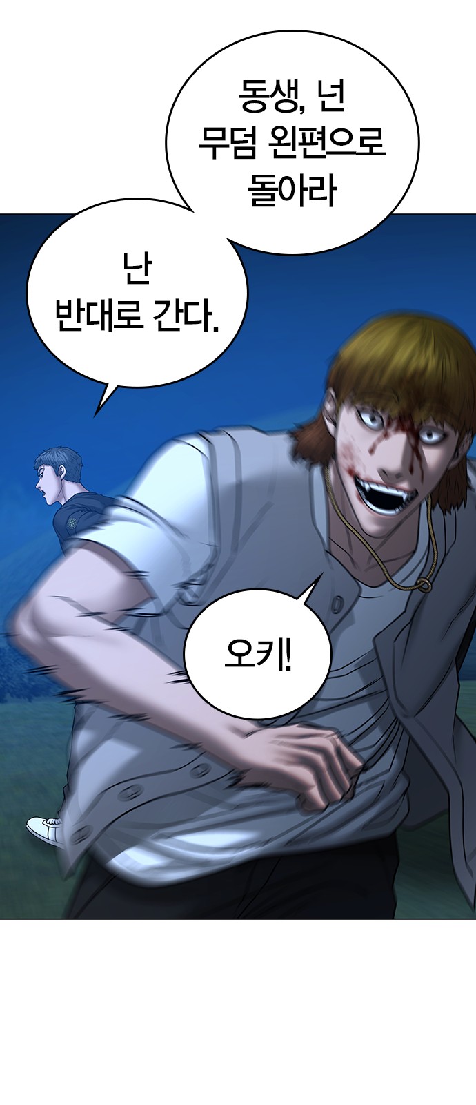 30 페이지