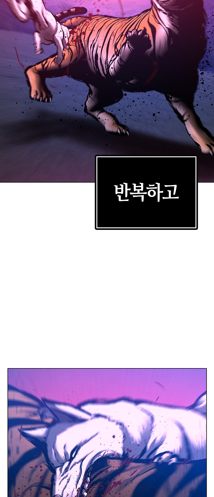 66 페이지