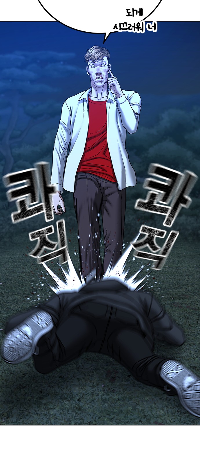 60 페이지