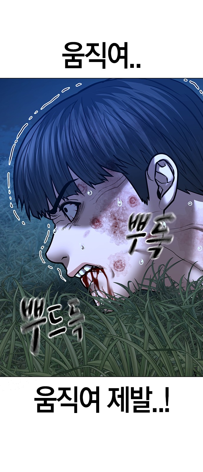 71 페이지