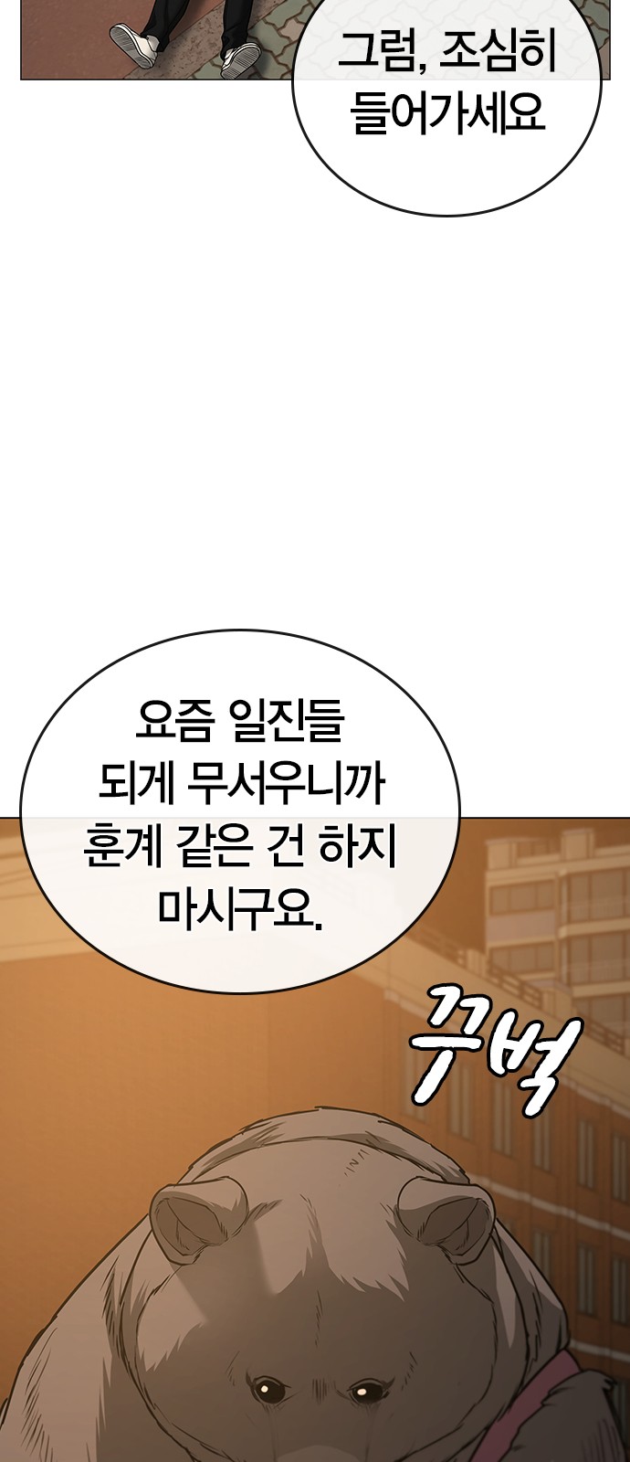 41 페이지