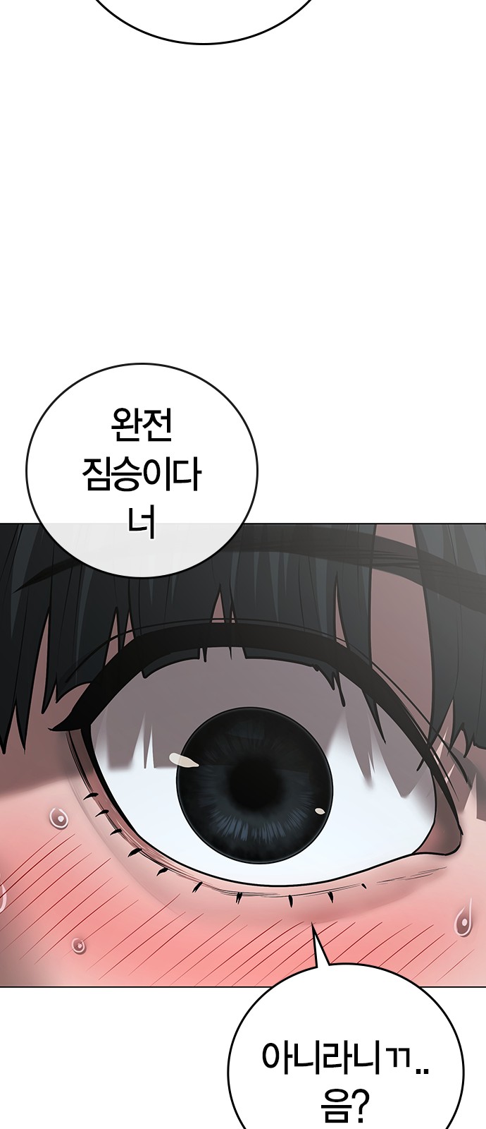111 페이지