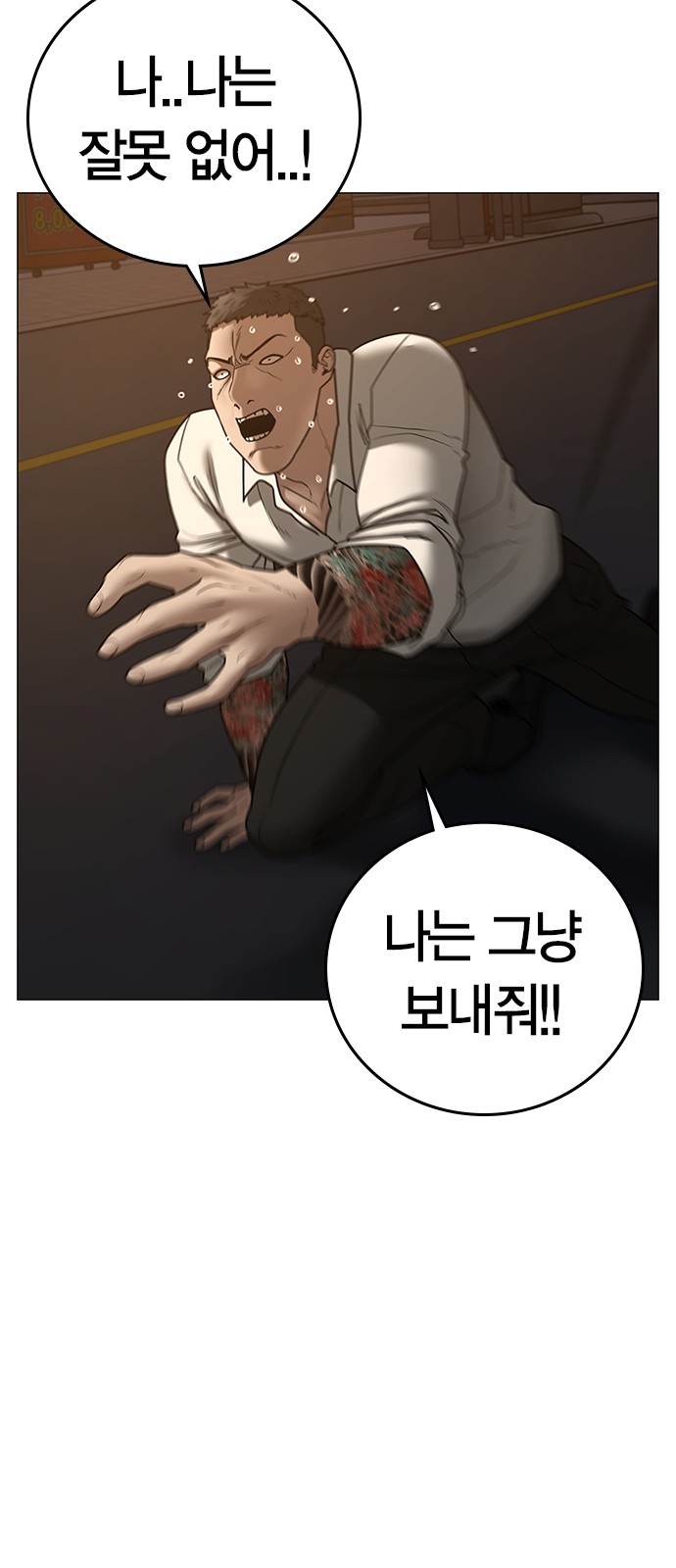 33 페이지
