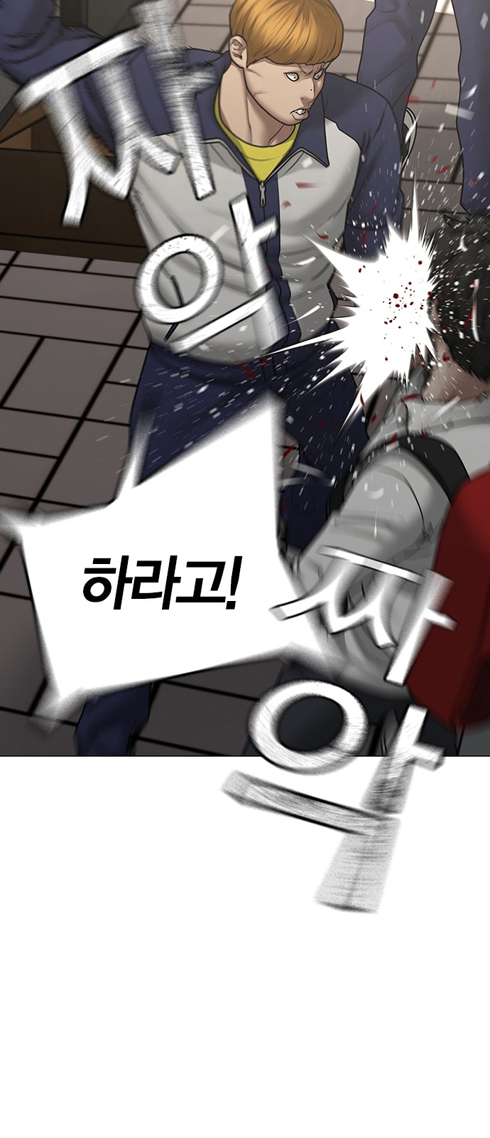 5 페이지